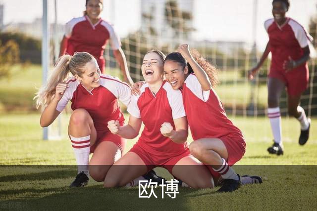 欧博团队与业务介绍